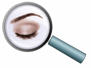 top-animation-krayer